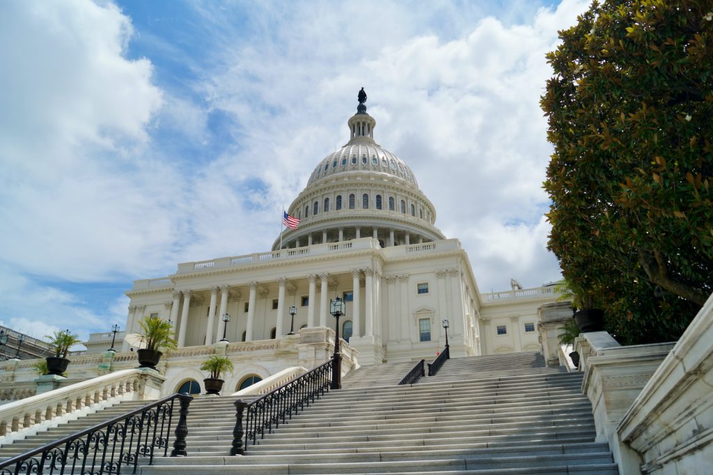 Photo of the Capital steps in Washington DC bu Samuel Schroth
